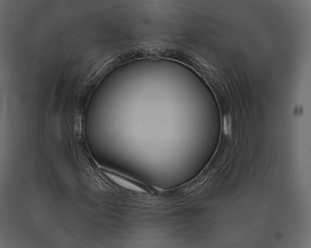 X0000090461155200708031234