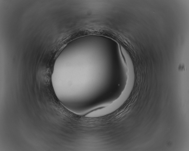 X0000090461156200708031234