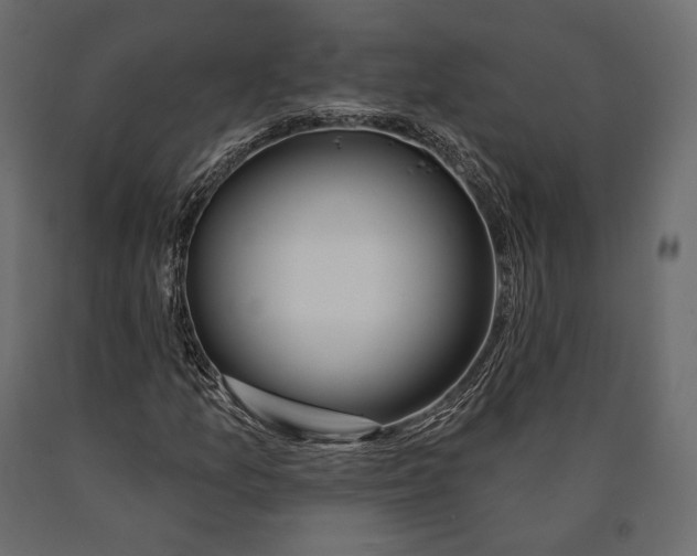X0000090461157200708031234