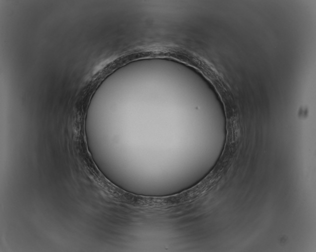 X0000090461158200708031234