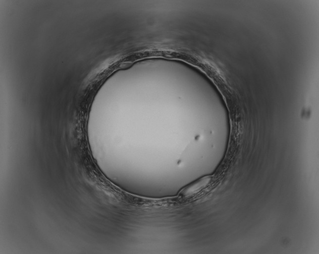 X0000090461159200708031234