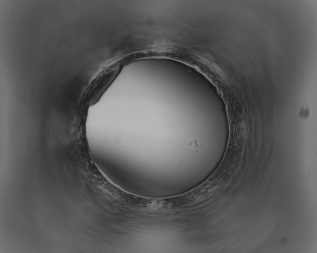X0000090461160200708031234