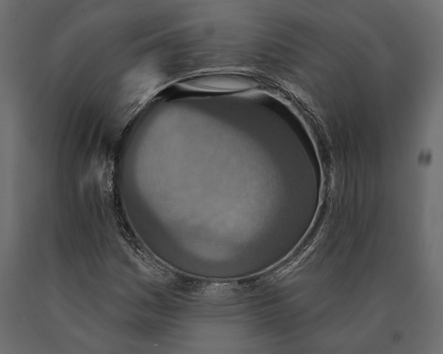 X0000090461161200708031234