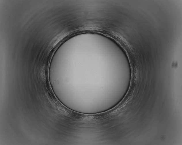 X0000090461162200708031234