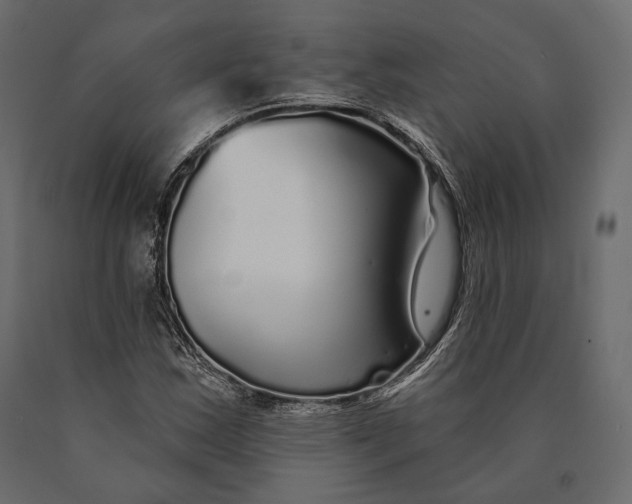 X0000090461163200708031234