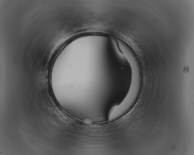 X0000090461164200708031234