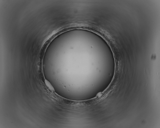 X0000090461165200708031234