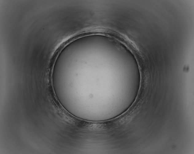 X0000090461166200708031234