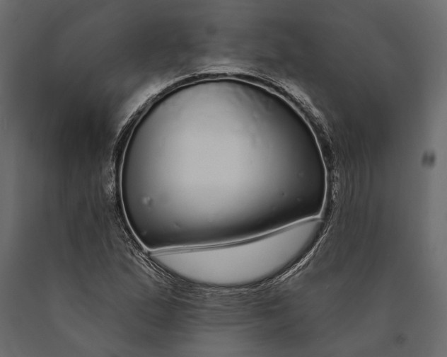 X0000090461167200708031234