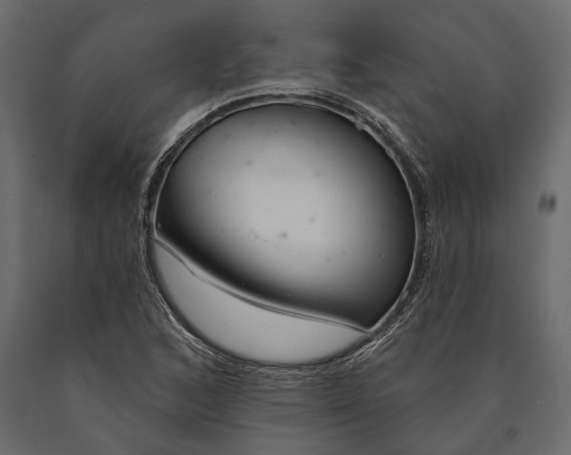 X0000090461168200708031234