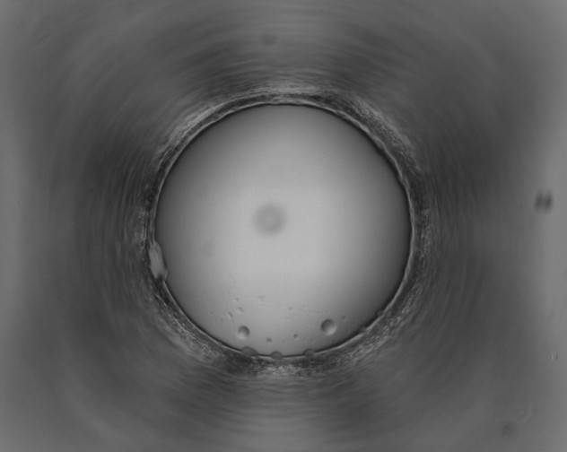 X0000090461169200708031234