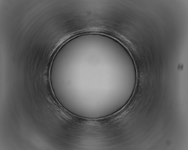 X0000090461170200708031234