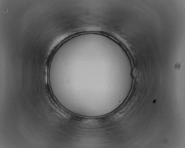 X0000090461171200708031234