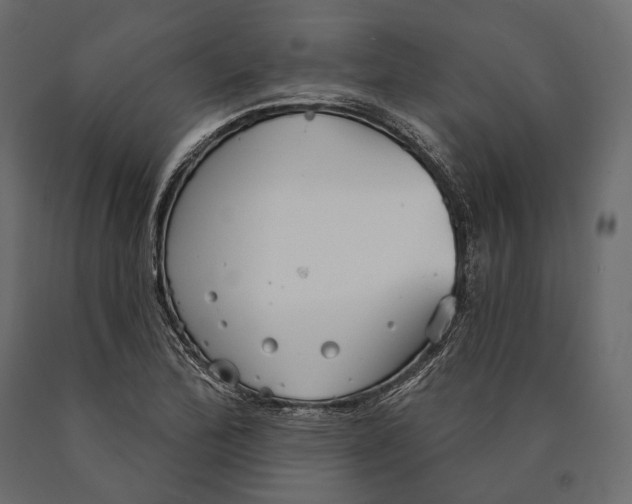 X0000090461172200708031234