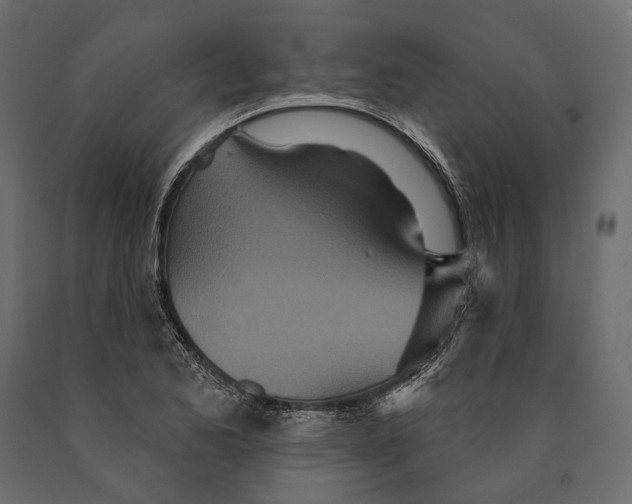 X0000090461173200708031234
