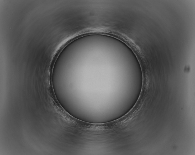 X0000090461174200708031234