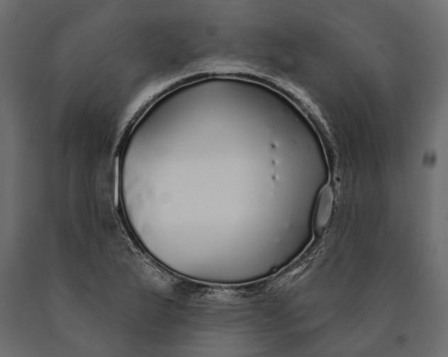 X0000090461175200708031234