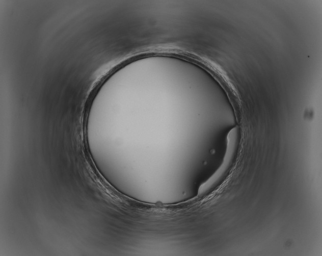X0000090461176200708031234