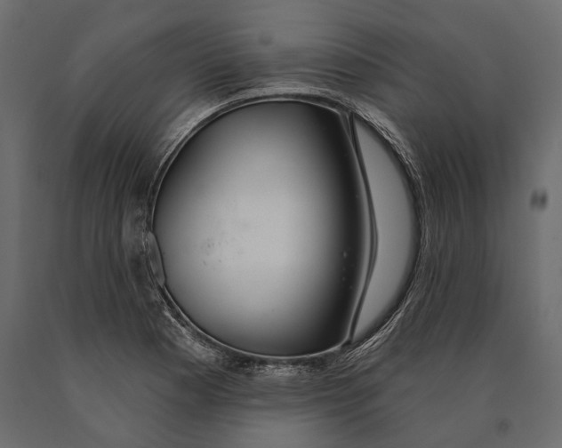X0000090461177200708031234