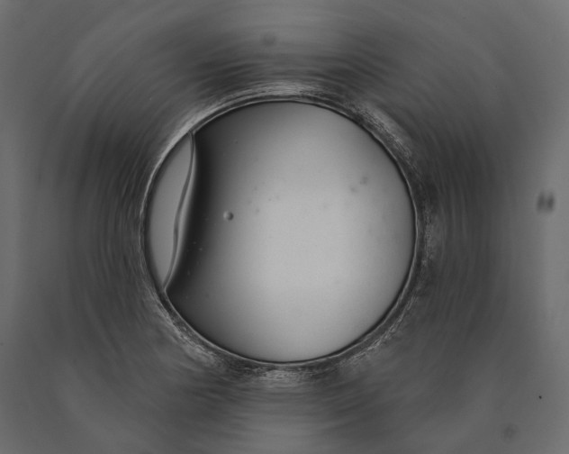 X0000090461178200708031234