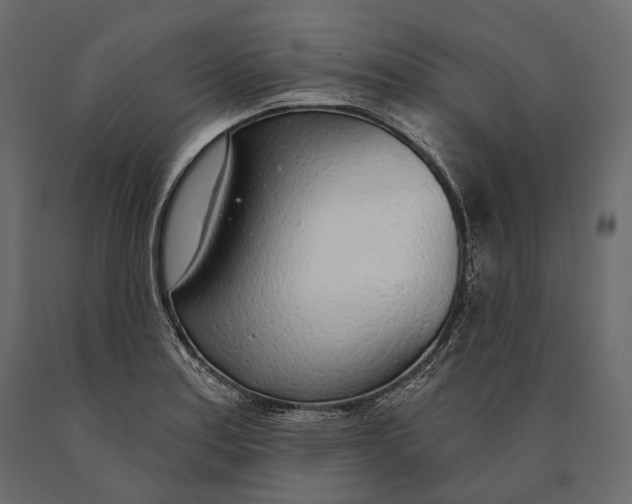 X0000090461179200708031234