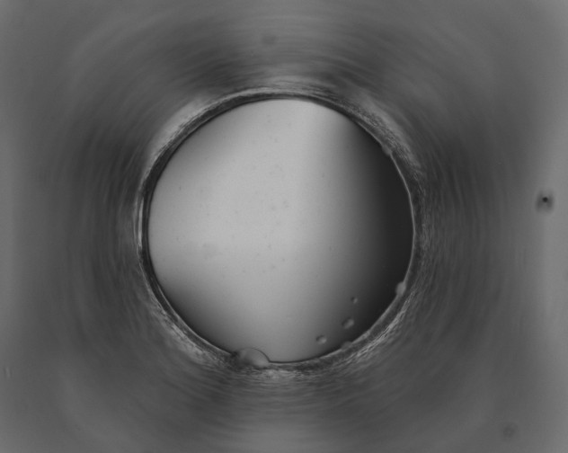 X0000090461180200708031234