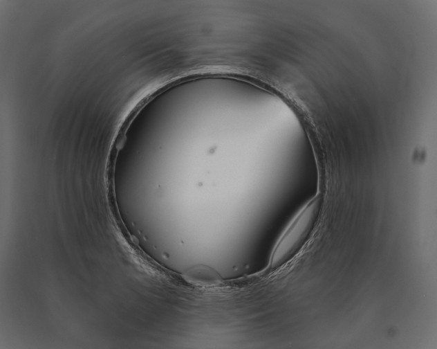 X0000090461181200708031234