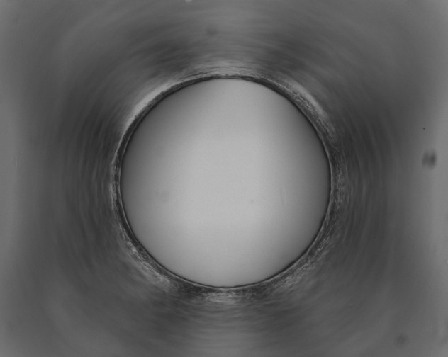 X0000090461182200708031234