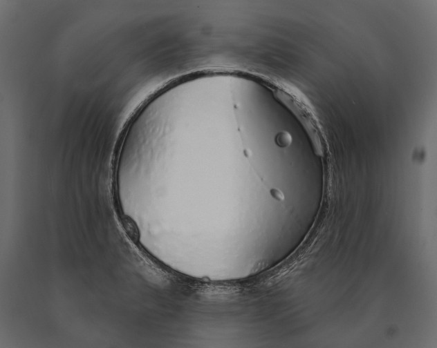 X0000090461183200708031234