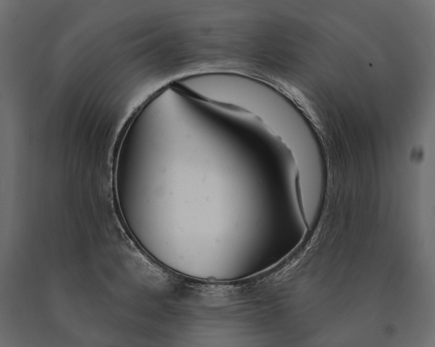 X0000090461184200708031234