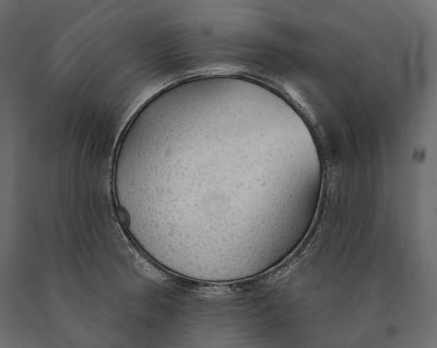 X0000090461186200708031234
