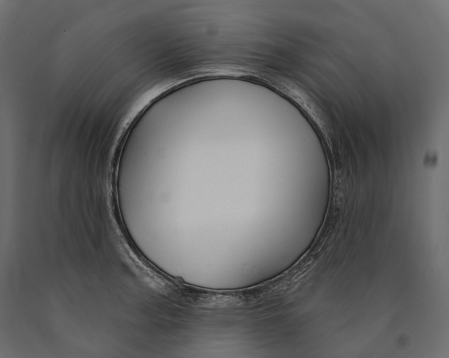 X0000090461187200708031234