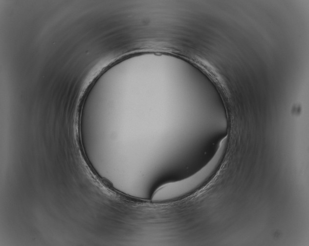 X0000090461188200708031234