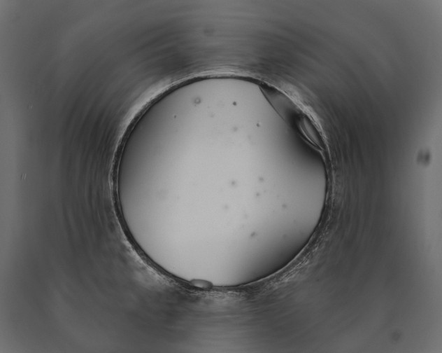 X0000090461189200708031234