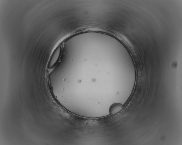 X0000090461190200708031234
