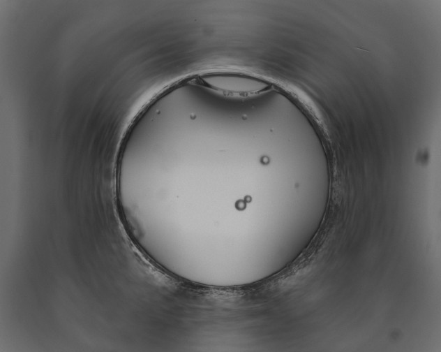 X0000090461191200708031234