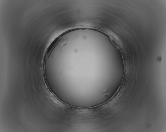 X0000090461192200708031234