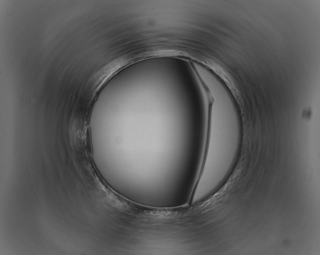 X0000090461193200708031234