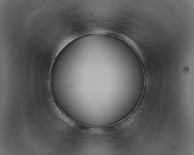 X0000090461194200708031234