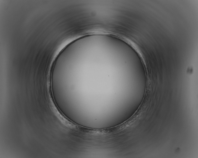 X0000090461195200708031234