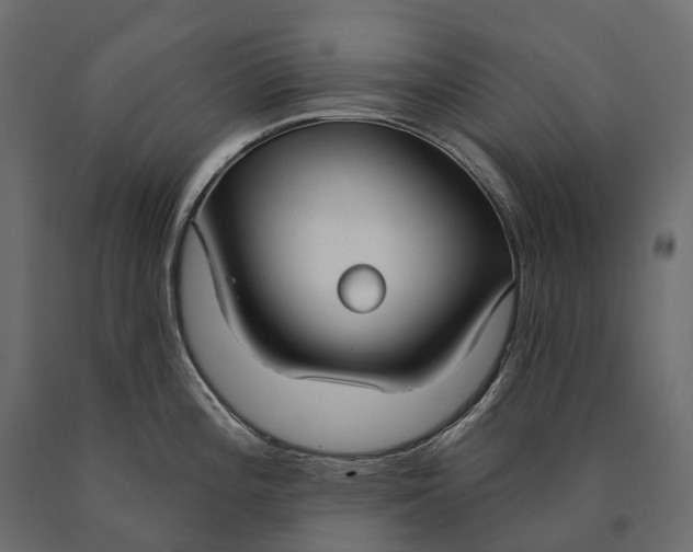 X0000090461196200708031233