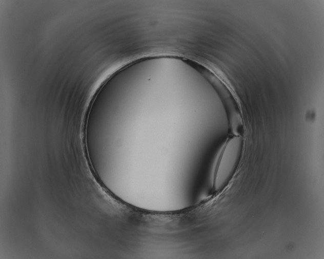 X0000090461197200708031233