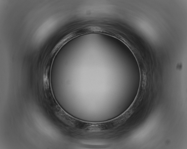 X0000090461198200708031233