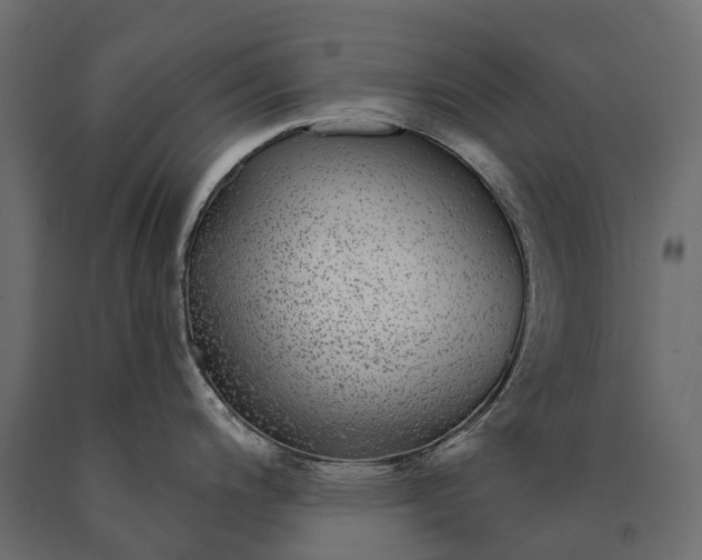 X0000090461200200708031233