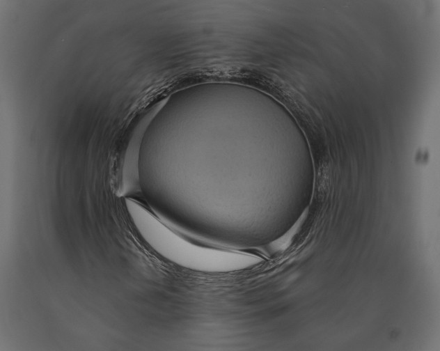 X0000090461202200708031233