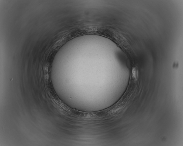 X0000090461203200708031233