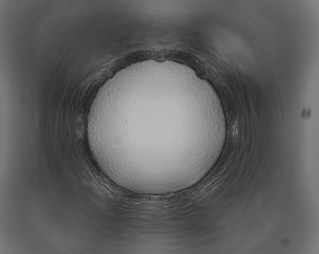 X0000090461204200708031233
