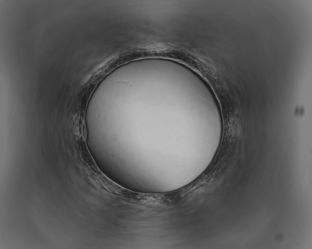 X0000090461205200708031233