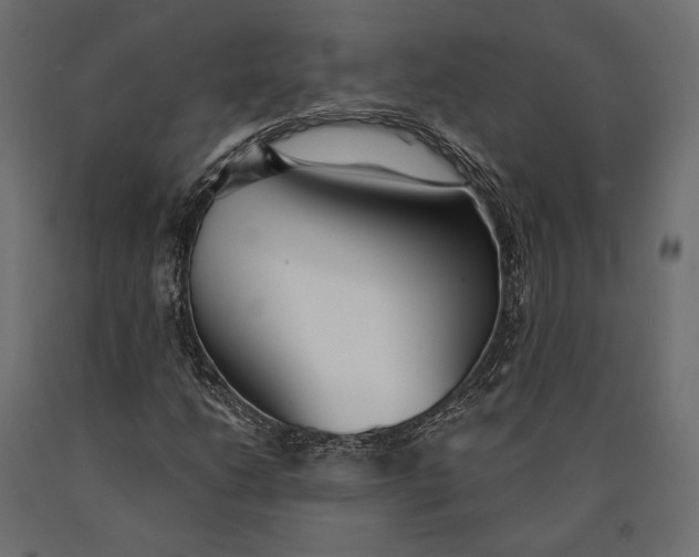 X0000090461206200708031233