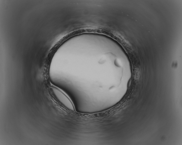 X0000090461208200708031233